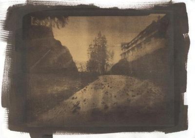 fot. Paweł Janczaruk (2)