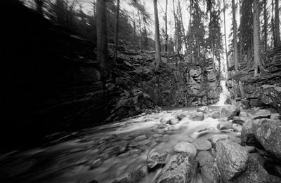 fot. Barbara Panek-Sarnowska (1)