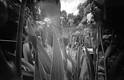 fot. Barbara Panek-Sarnowska (2)