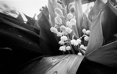 fot. Barbara Panek-Sarnowska (3)