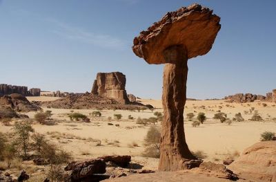 fot. Artur Urbański (2)