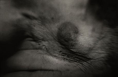 fot. Magda Hueckel (3)