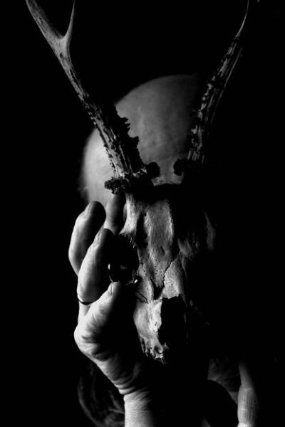 Antoni Kreis - REINKARNACJE (4)