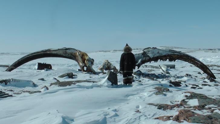 Katarzyna Dąbkowska w Arktyce - fot. z arch. Katarzyna Dąbkowska