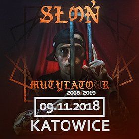Słoń - Katowice