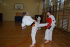 miniatura Karate Gliwice