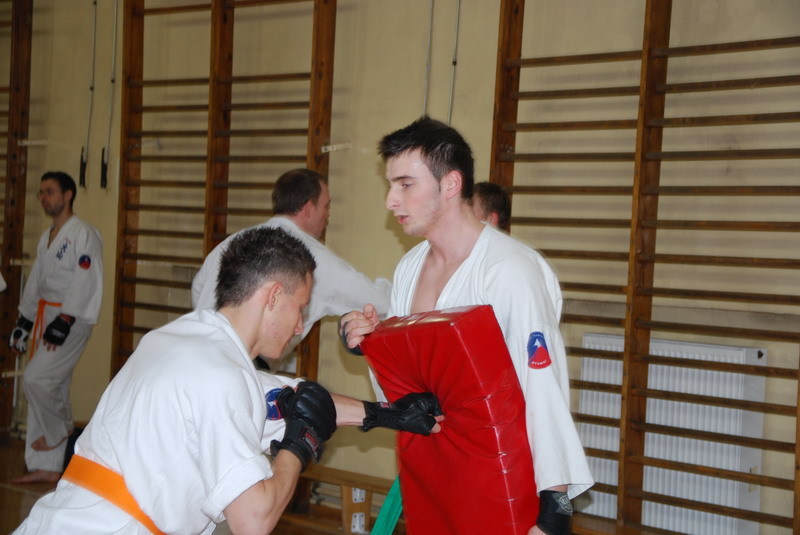 Karate Gliwice