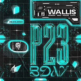 P23 B-DAY: WALLIS