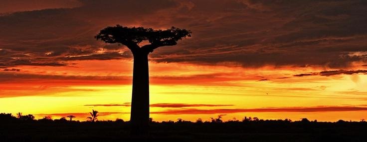 Madagaskar - fot. Arek Ziemba (2)