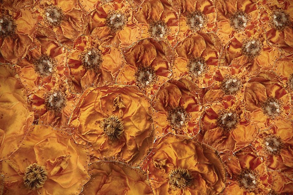 Irena Nawrot, „Róża I”, 2011, fotografie barwne, nić krawiecka, średnica 175 cm (fragment)