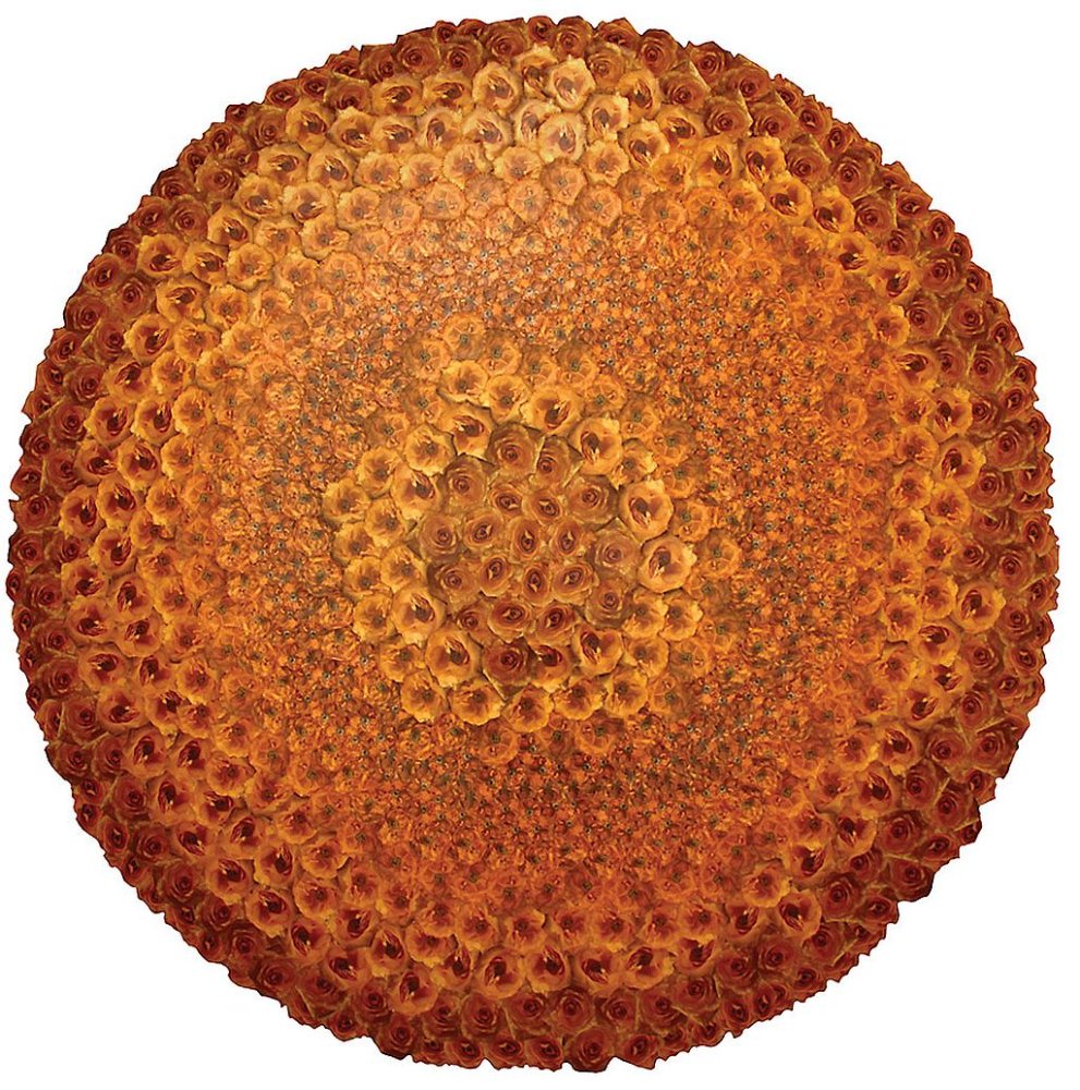 Irena Nawrot, „Róża I”, 2011, fotografie barwne, nić krawiecka, średnica 175 cm