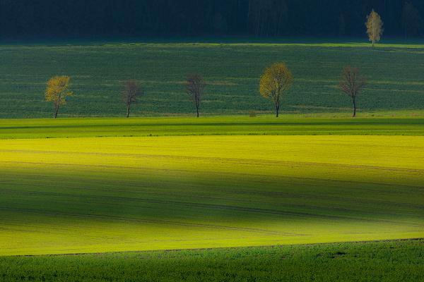 Ach! Podlasie, Podlasie - fot. Marek Waśkiel (1)