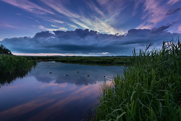 Ach! Podlasie, Podlasie - fot. Marek Waśkiel (8)