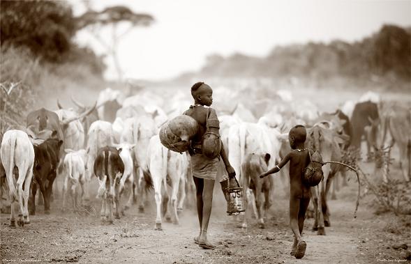 Etiopia. fot.JolantaBlij(3)